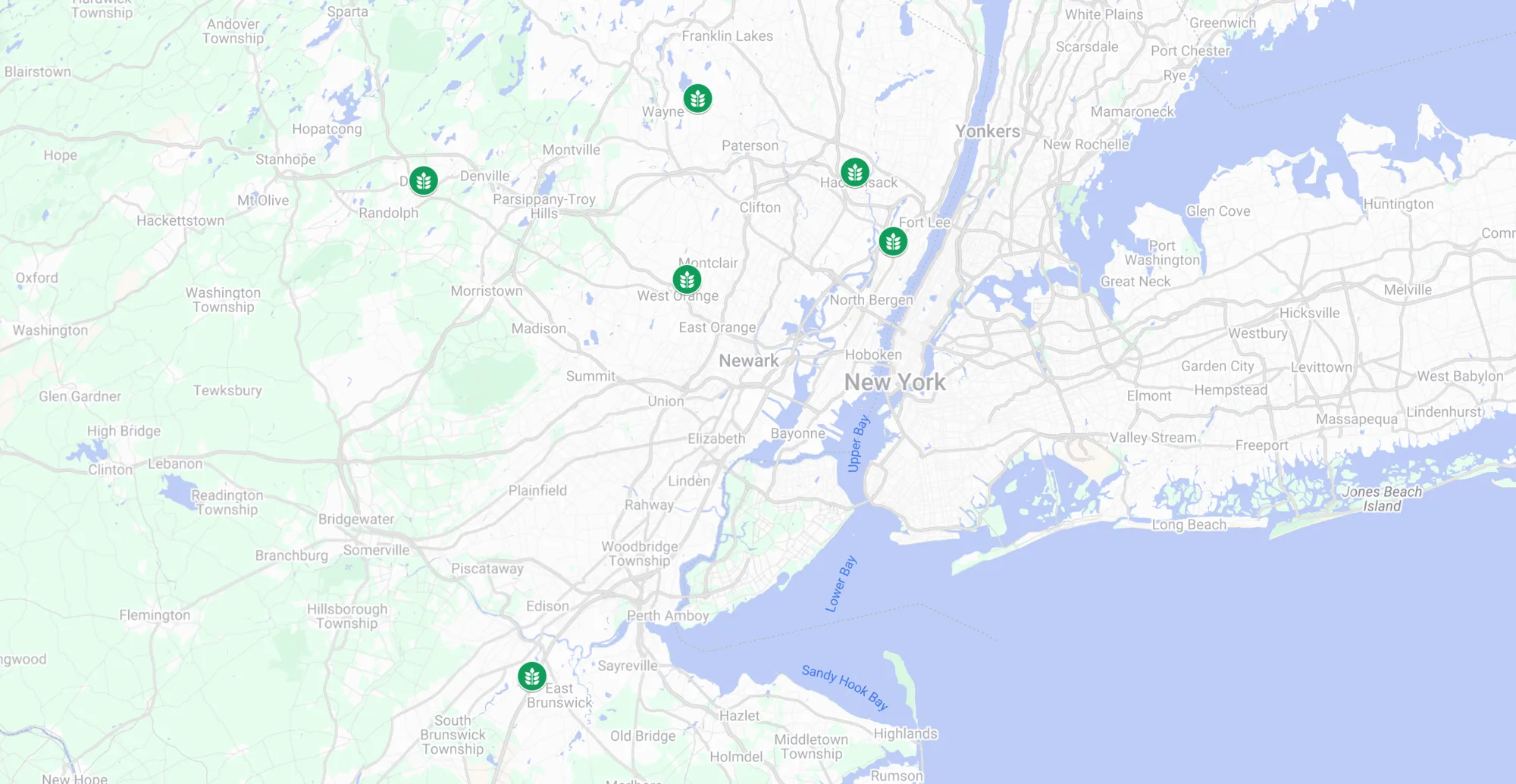 A Google Map image detailing all of our spinal care locations